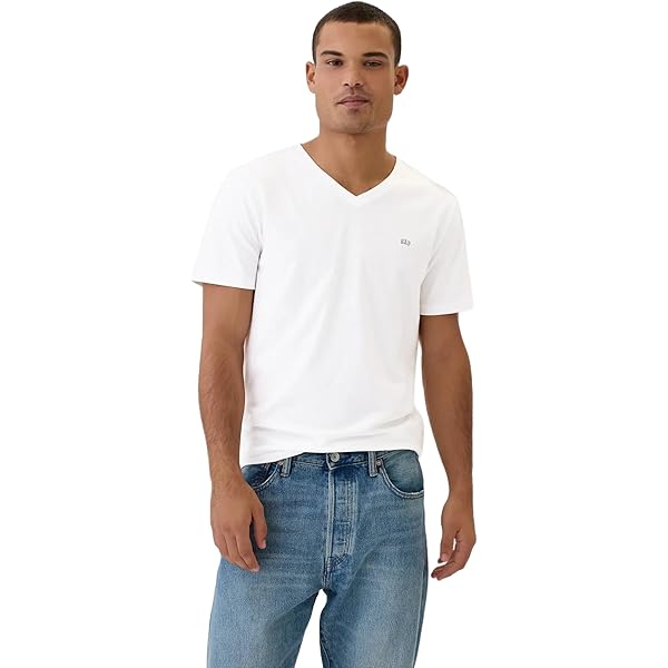 Whitesville Men's 2-Pack Plain T-Shirt Short Sleeve Tee Toyo